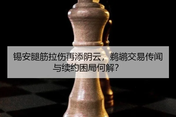 xi-an-tui-jin-la-shang-zai-tian-yin-yun-ti-hu-jiao-yi-chuan-wen-yu-xu-yue-kun-ju-he-jie-3-314.jpg